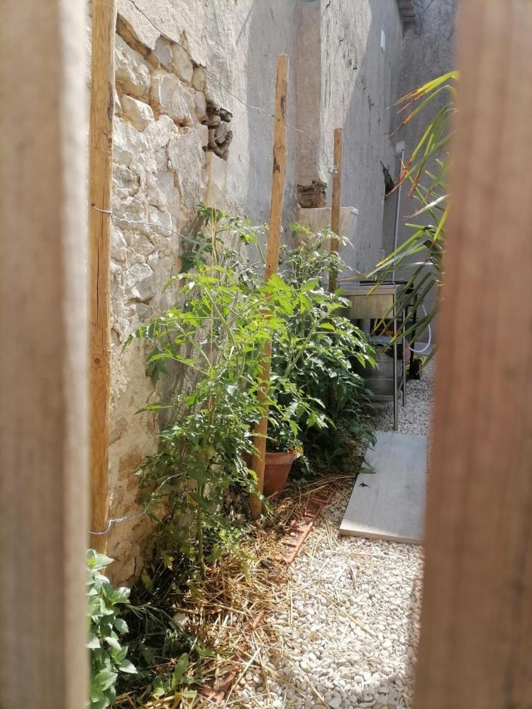 Studio 2 A 4 Personnes Dompierre-sur-Mer Kültér fotó